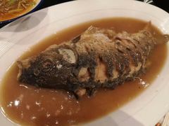 -阿庄新豫菜(航海东路店)