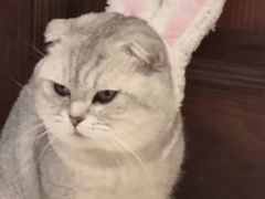 -鹿里烘焙LulyBaking(东二环泰禾广场店)
