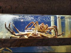 -鱼乐轩海鲜专门店
