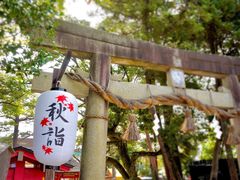 -金泽21世纪美术馆