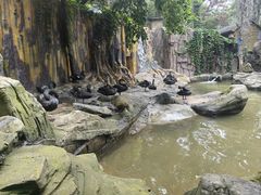 -燕塞湖鸟语林景区