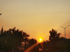 -宝安西湾红树林湿地公园