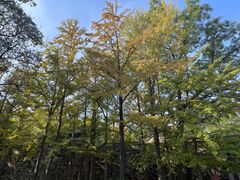 -阳台山自然风景区