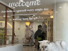 -共舞时光猫咖·狗咖(新街口店)