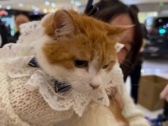 -北京华联购物中心(天通苑店)