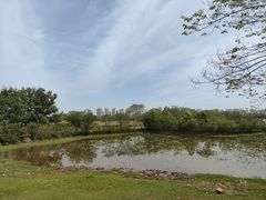 -盘龙城国家考古遗址公园