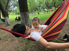 -长白岛森林公园