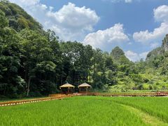-高荡千年布依古寨旅游景区