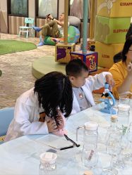 -卡通尼·Safari非洲探索乐园·生日会(金桥国际商业广场店)