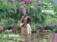 -嘉定紫藤园