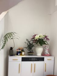 -WENDY·温迪皮肤管理