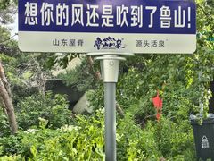 -鲁山国家森林公园