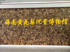 -呀诺达热带雨林