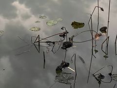 -惠州西湖丰渚园