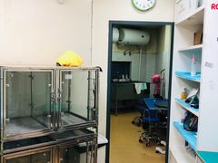 -芭比堂宠物医院·全科爱猫医院·仁德分院