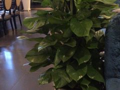 -晶泽丽琅·鱼鲜川菜(川师店)
