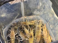 -DGE季风钓虾营地·团建·聚会