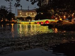 -荔湾湖公园
