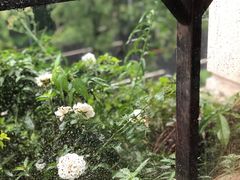 -浣花锦绣(杜甫草堂店)