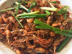 -老头儿油爆虾(星光一期店)