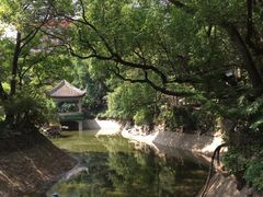 -叶家花园