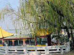 -溱湖国家湿地公园