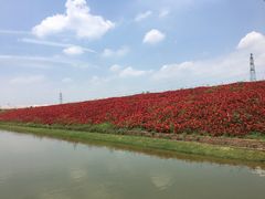 -迪茵湖田家舍生态农场