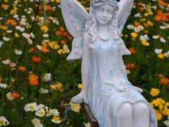 -名花谷生态庄园