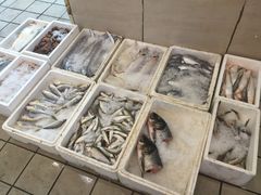 -山水间小院