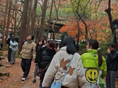 -宋宴(虎跑店)