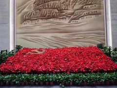 -延安杨家岭革命旧址