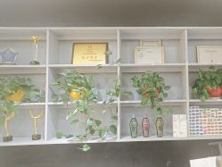 -吉艺心专业美发造型