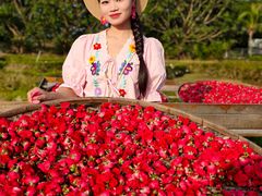 -亚龙湾国际玫瑰谷