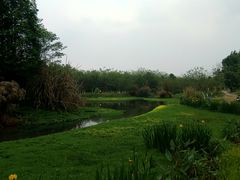 -桤木河湿地公园