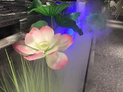 -大榕树下顺德菜(融创茂店)