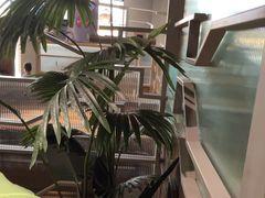 -湊湊火锅·茶憩(皇姑万象汇店)