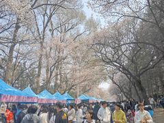 -吉林大学(南岭校区)