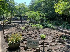 -海口火山口国家地质公园