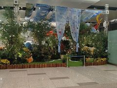 -河内内排国际机场