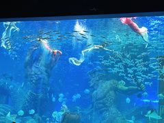 -波塞冬海底世界