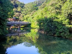 -广州白江湖森林公园