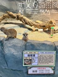 -Zoolung Zoolung动物主题公园(海信广场店)