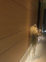 -恒美雅轩·品牌直营连锁
