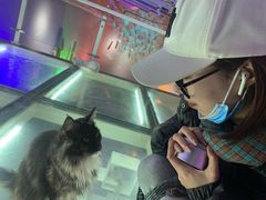 -极木²邸 人与宠物·互动社区