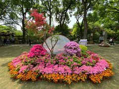 -上海醉白池公园