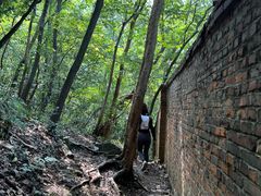 -紫金山山顶公园