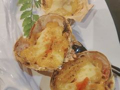 -黑松白鹿(金融街店)