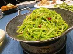 -金狮麟·新豫菜(金码大厦店)
