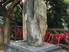 -广州市帽峰山景区