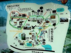 -贵州森林野生动物园